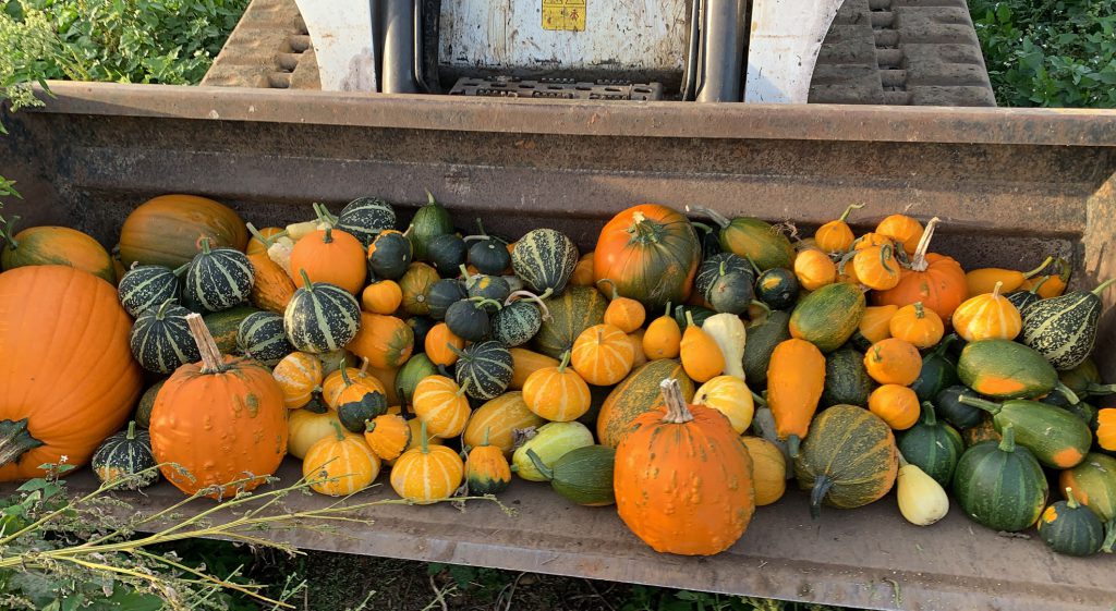 Pumpkin Tractors